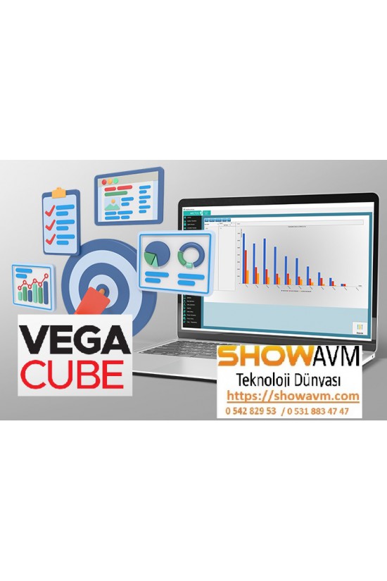 Vega Cube