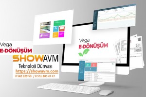 E-Dönüşüm