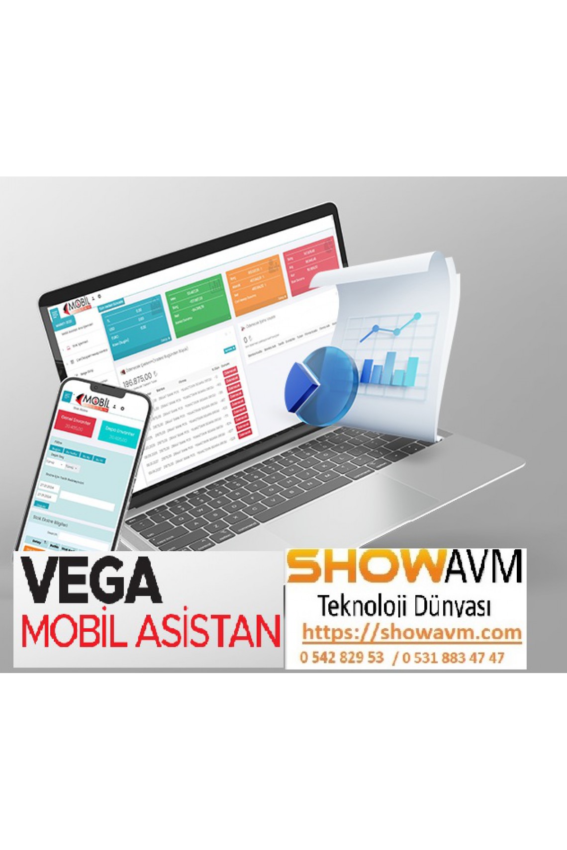 Vega Mobil Asistan